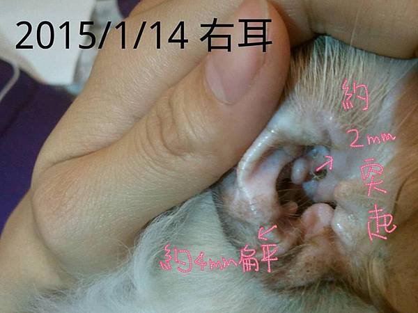 10928981_734065233357011_5091001579618991251_n 10928981_734065233357011_5091001579618991251_n