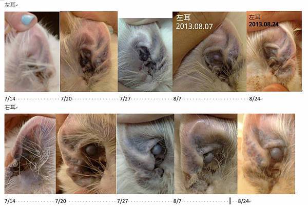 1174797_480745545355649_510053560_n 1174797_480745545355649_510053560_n