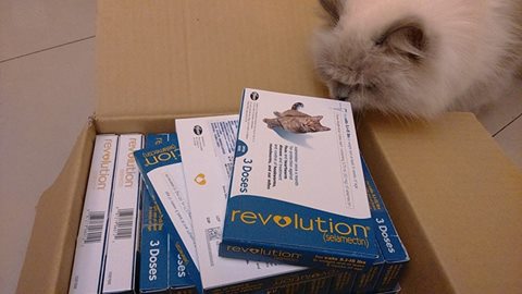 10300149_768648013232066_4738103750723107290_n