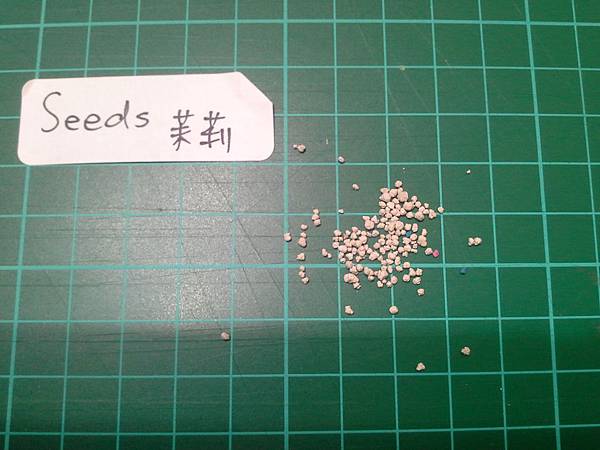 方格-seeds.jpg 方格-seeds.jpg