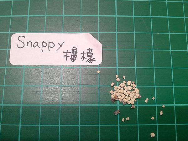 方格-snappy.jpg 方格-snappy.jpg