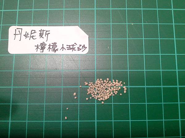 方格-丹尼斯.jpg 方格-丹尼斯.jpg