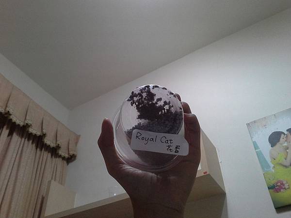 20141218_215535 20141218_215535