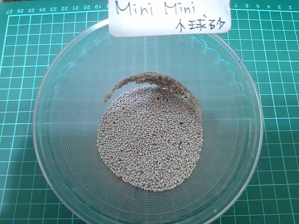 20141218_220038 20141218_220038