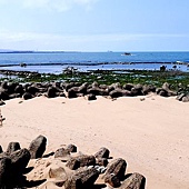 淡水石滬心 淡水石滬心