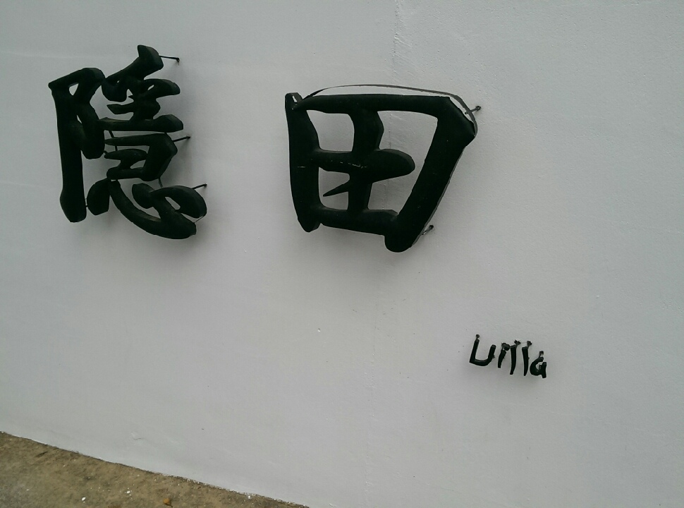 IMAG0786 IMAG0786