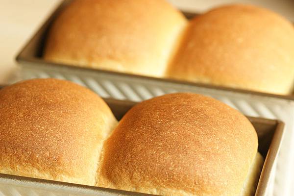 DSC08466.JPG DSC08466.JPG