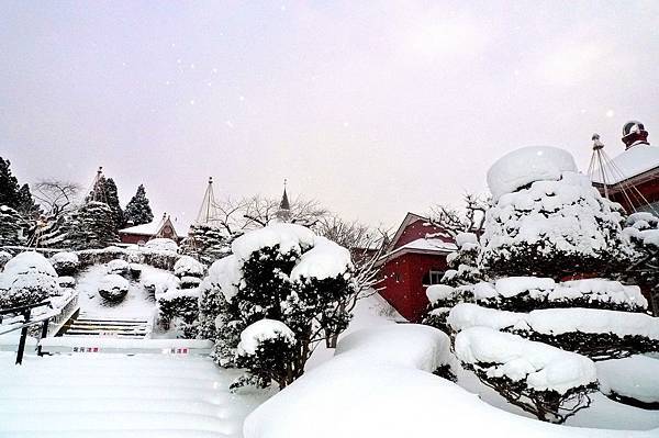 北海道下雪啰~~结婚蜜旅。跟团玩什么?行程快