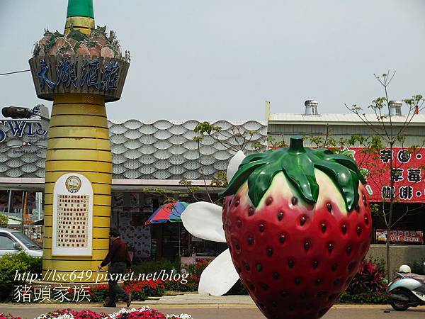 DSCN2212 DSCN2212