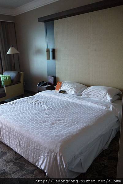 P1600607 P1600607