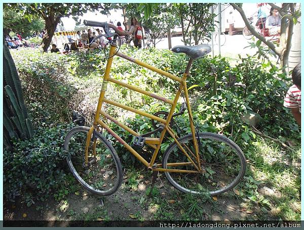 DSC08910.JPG DSC08910.JPG