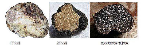 Screen shot 2013-10-30 at 下午6.05.19