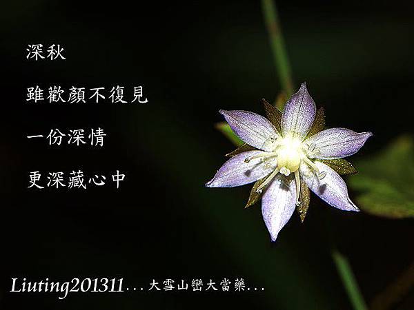 217.JPG 217.JPG