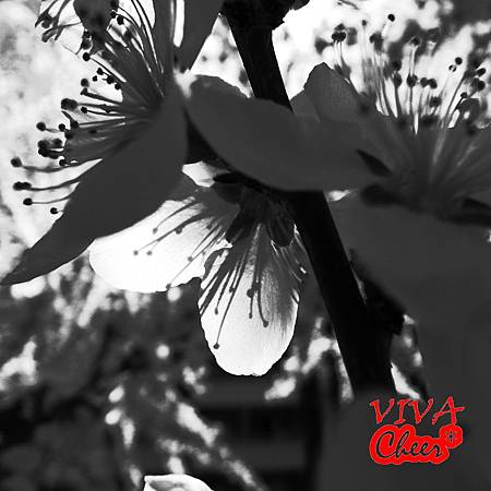 20114-26.jpg 20114-26.jpg