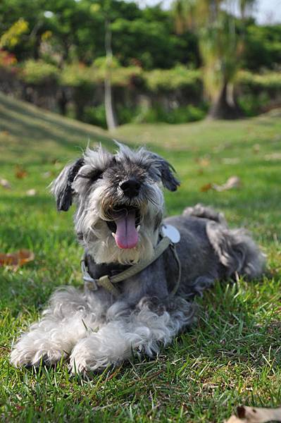 DSC_0296.JPG DSC_0296.JPG