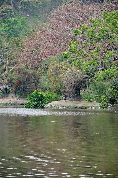 DSC_0125.JPG DSC_0125.JPG