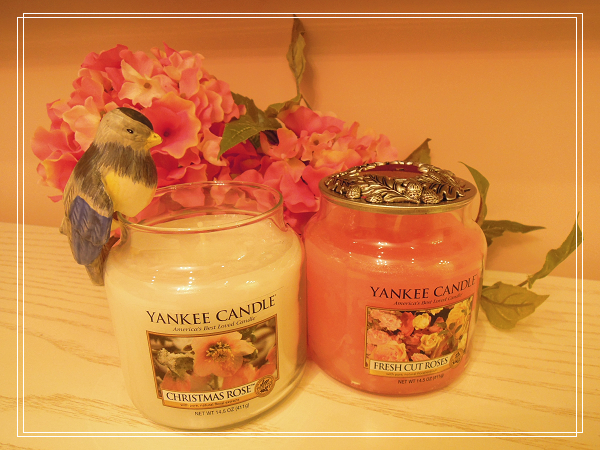 DSCN9398.JPG DSCN9398.JPG