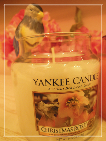 DSCN9403.JPG DSCN9403.JPG