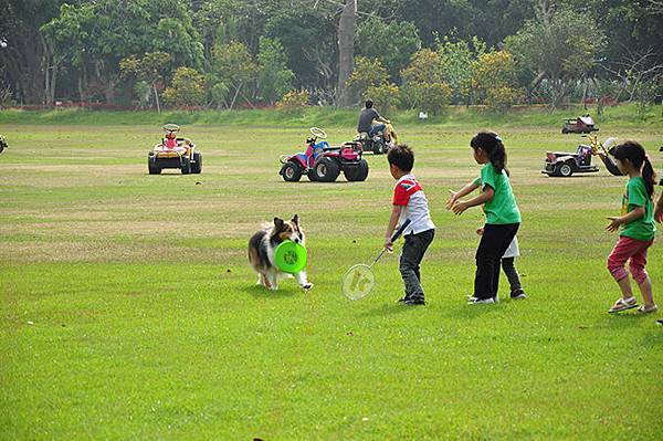 DSC_0017.JPG DSC_0017.JPG