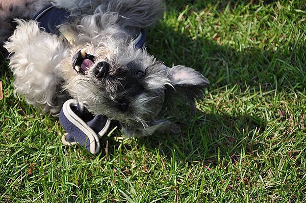 DSC_0299.JPG DSC_0299.JPG