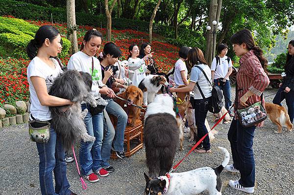 DSC_0098.JPG DSC_0098.JPG