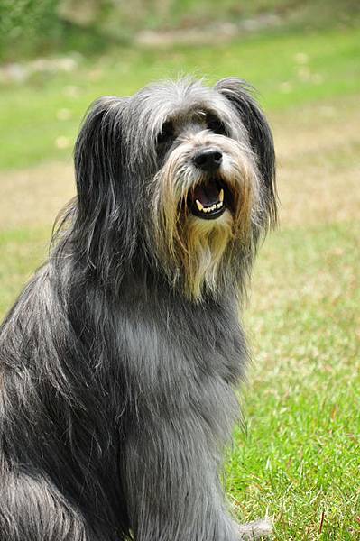 DSC_0441.JPG DSC_0441.JPG