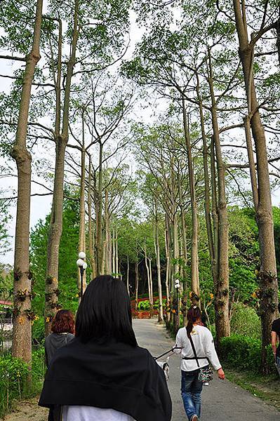 DSC_0086.JPG DSC_0086.JPG