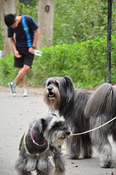 DSC_0138.JPG DSC_0138.JPG