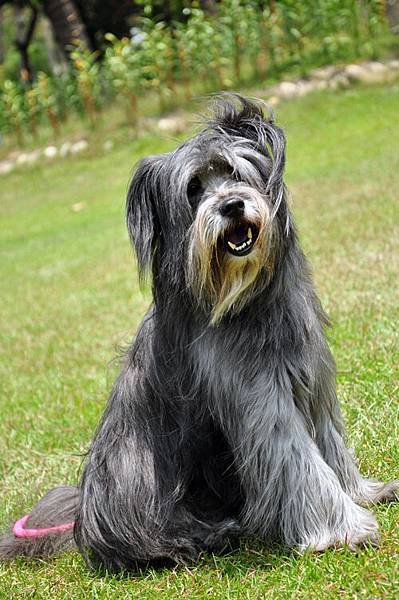 DSC_0438.JPG DSC_0438.JPG