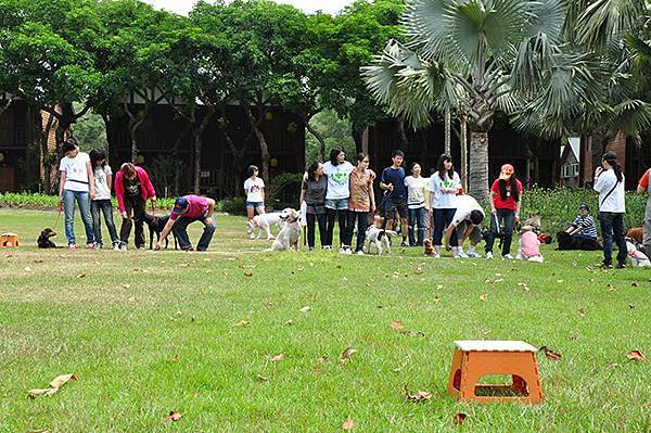 DSC_0385.jpg DSC_0385.jpg