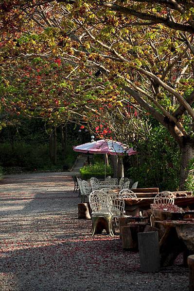 DSC_0253.JPG DSC_0253.JPG