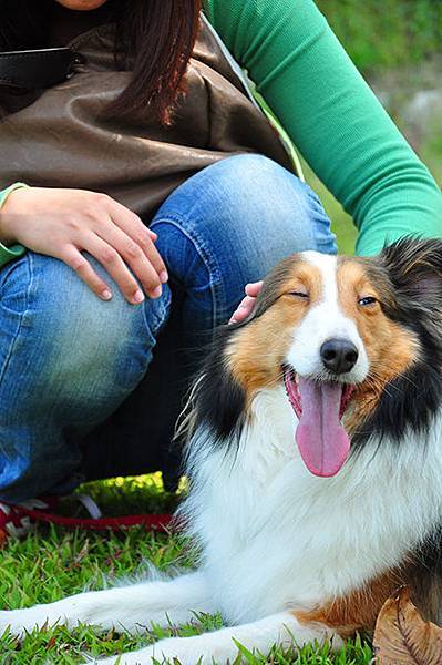 DSC_0316.JPG DSC_0316.JPG