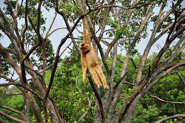 DSC_0062.JPG DSC_0062.JPG