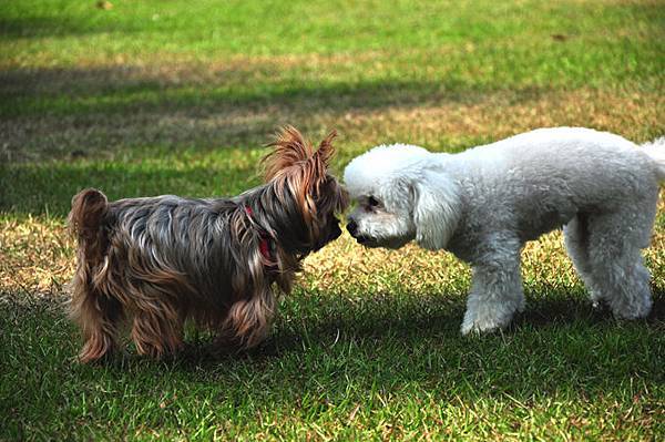 DSC_0269.JPG DSC_0269.JPG