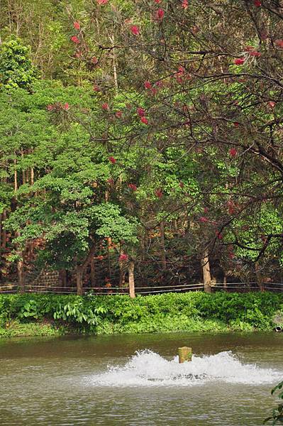 DSC_0055.JPG DSC_0055.JPG