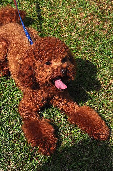 DSC_0272.JPG DSC_0272.JPG