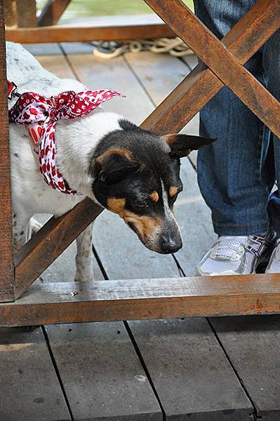 DSC_0078.JPG DSC_0078.JPG