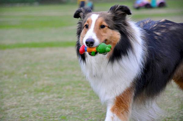 DSC_0187.JPG DSC_0187.JPG