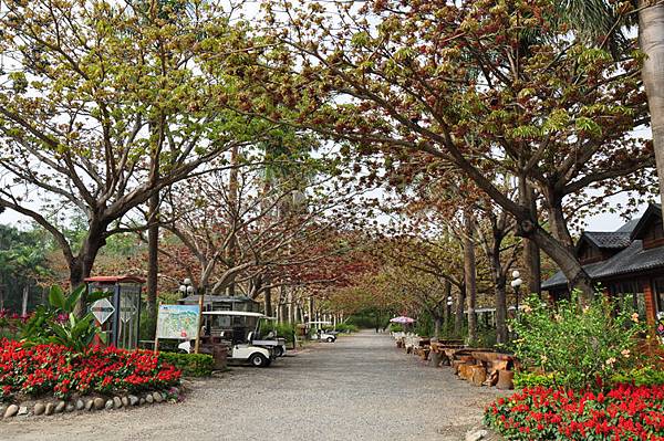 DSC_0003.JPG DSC_0003.JPG