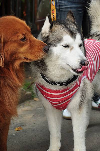 DSC_0027.jpg DSC_0027.jpg