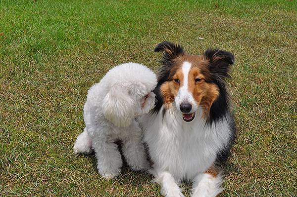 DSC_0419.jpg DSC_0419.jpg