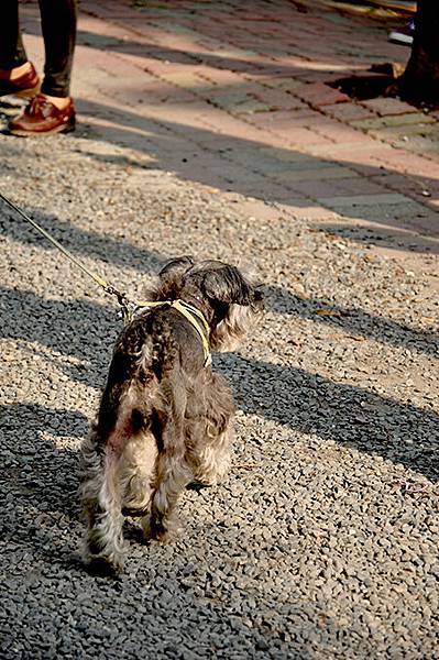 DSC_0043.jpg DSC_0043.jpg