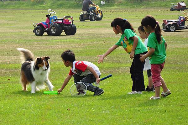 DSC_0018.JPG DSC_0018.JPG