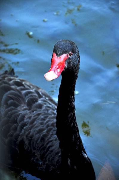 DSC_0260.JPG DSC_0260.JPG