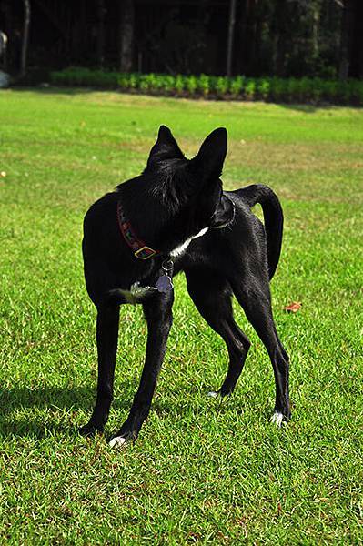 DSC_0271.JPG DSC_0271.JPG