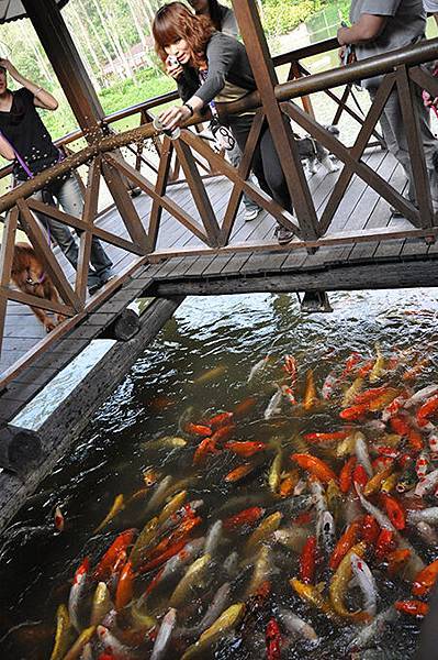 DSC_0075.JPG DSC_0075.JPG