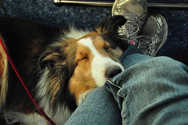 DSC_0545.jpg DSC_0545.jpg