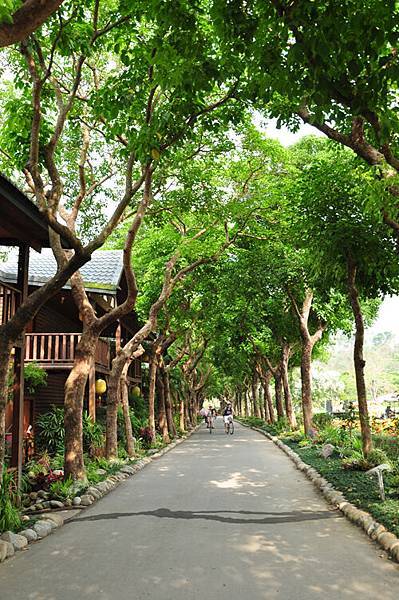 DSC_0006.JPG DSC_0006.JPG