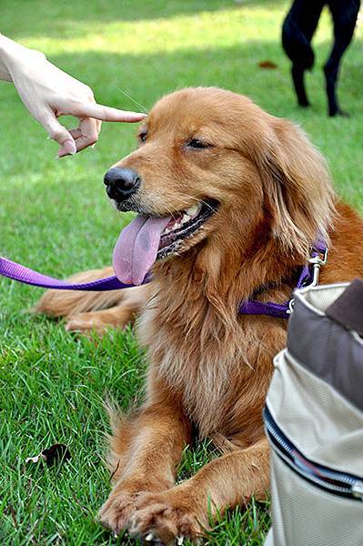 DSC_0301.jpg DSC_0301.jpg