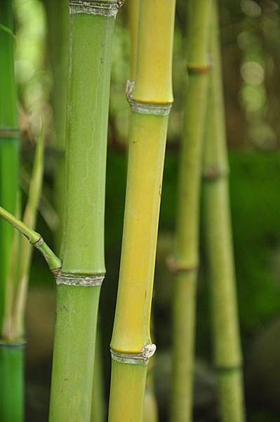 DSC_0085.JPG DSC_0085.JPG